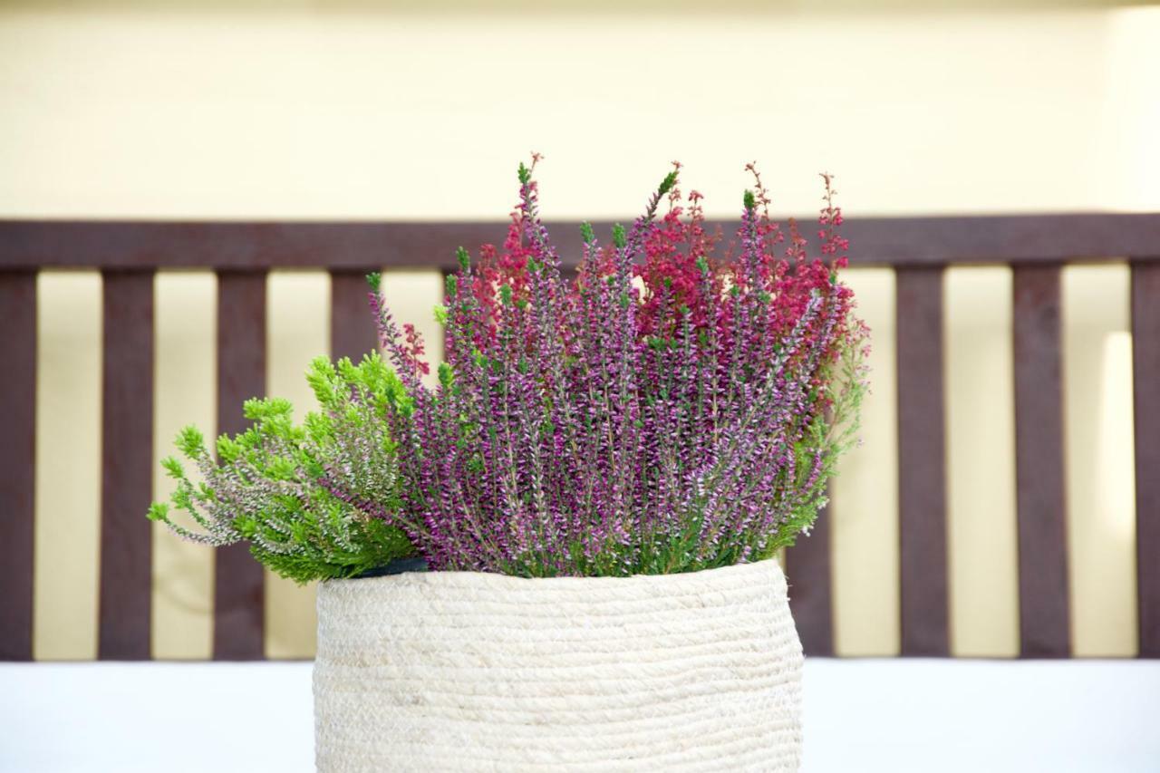 La Terrazza Di Isabel Villa Róma Kültér fotó